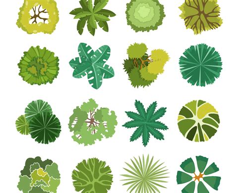 TreePlan 的图像结果