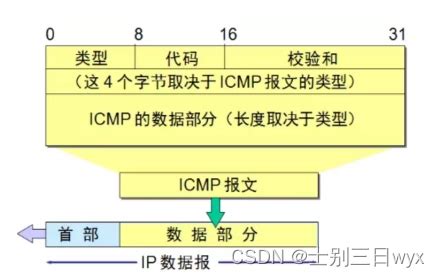 网络基础--ICMP_在步骤三中,当测试loopback接口之间联通性时,若不加-a参数,则icmp报文的源ip-CSDN博客