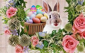 Image result for Easter Bunny Screensavers 10