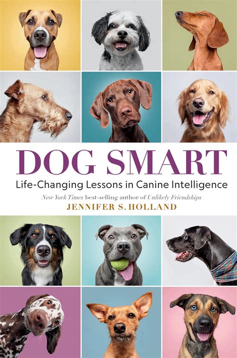 Are Dogs Getting Smarter? The Science Behind Modern Canine Intellect
