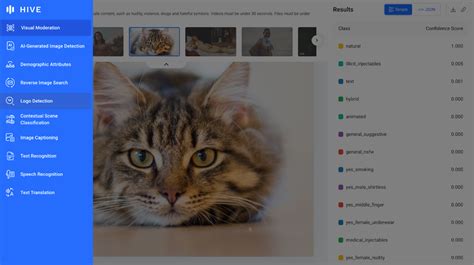 Image result for Best Computer Vision Picture