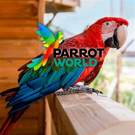 Parrot World : pass annuel billets, Parrot World - Le parc animalier ...
