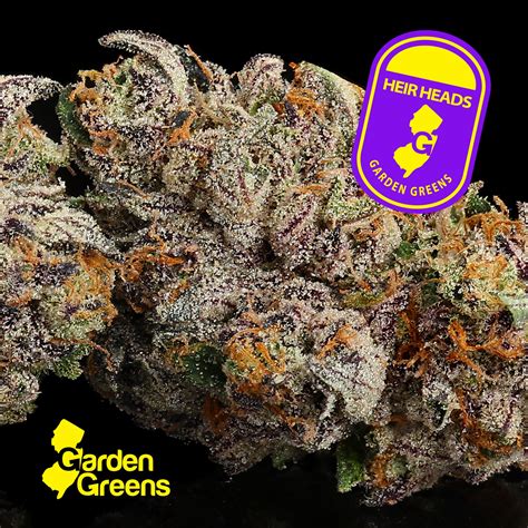 Red Bank NJ's Trusted Dispensary | Canopy Crossroad