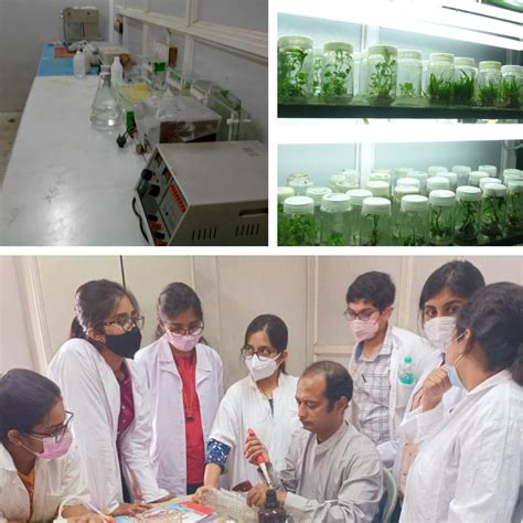 BIMS Programs