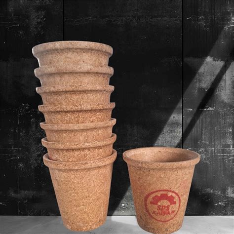 SPS KALYAN 100% Organic & Biodegradable Rice Bran Tea Cups | Eco ...