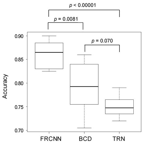 The Development of a Skin Cancer Classification System for Pigmented ...