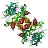 :dbDiarrhea: A Database of Proteins from Diarrheal Pathogens