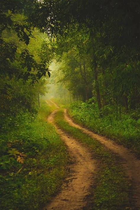 Person 的图像结果