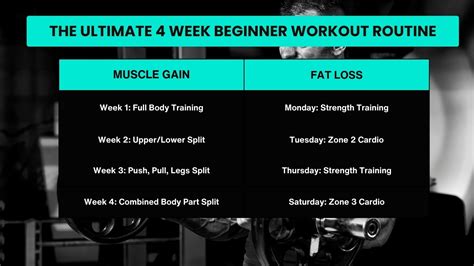 Exercise Program 的图像结果