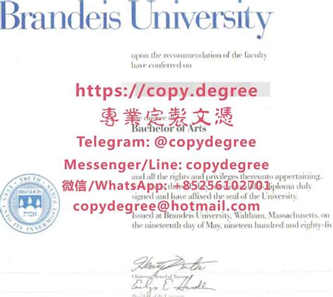 布兰德斯大学文凭范本|办理布兰德斯大学毕业证书|製作布蘭德斯大學博士碩士學位證書