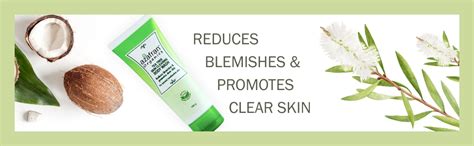 Buy Azafran Organic Refreshing Tea Tree Oil Body Wash for Men & Women ...