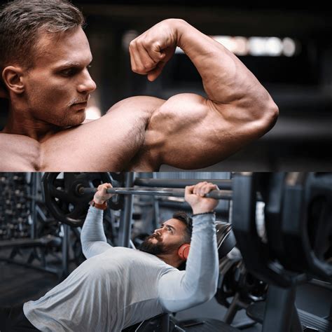 Does Bench Press Workout Biceps? (Complete Guide)