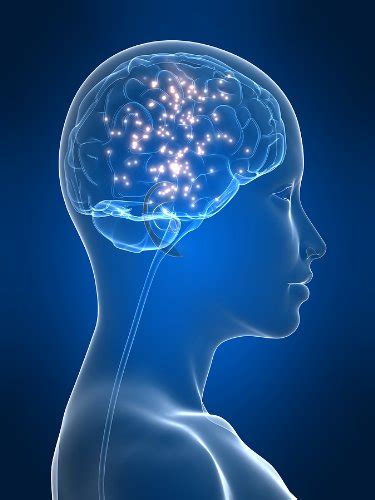 Learning Through Brain Chemistry: 12 Ways to Control Your Brain ...
