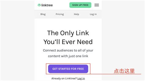 How to Do a Linktree 的图像结果