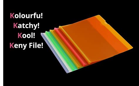 Keny Strip File | Stick/Patti File | Best for A4 Size | Multi-Colour ...