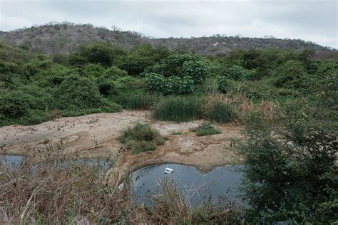 Путешествие по новейшему наркогосударству мира — Teletype