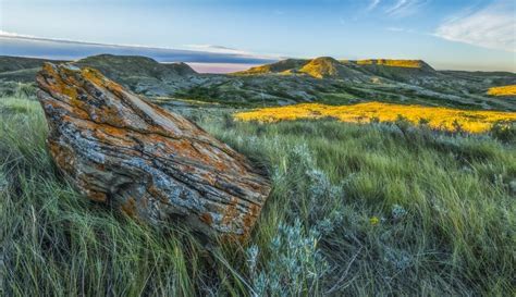 A Lichen Covered Rock with 70 Mile Butte in The Distance Grasslands ...