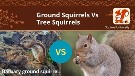 Image result for Sample or Example