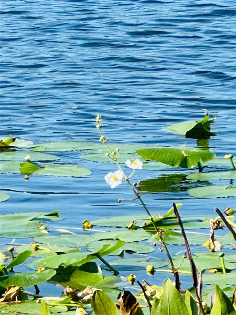 Kathleen Sullivan Writer, BSN RN on LinkedIn: Hope everyone is enjoying ...