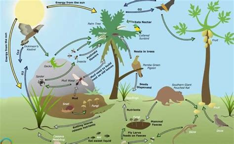 Life 的图像结果