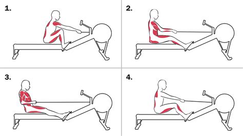 Rowing Machine And Form at Ina Pfarr blog