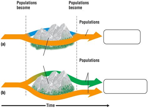Evolutionary Landscape 的图像结果