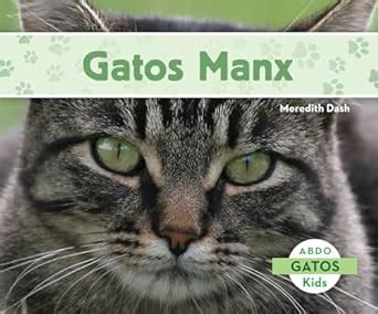 Gatos Manx (Gatos / Cats) : Dash, Meredith: Amazon.in: Books