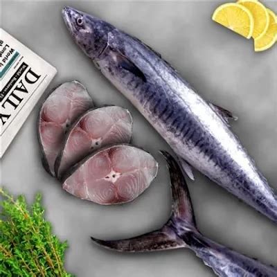 SEER FISH ROUND CUT,VANJIRAM FISH