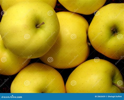 Golden Delicious Apples