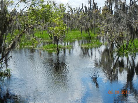 Gallery | Hardee County Property Appraiser