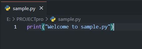 Run Python File 的图像结果