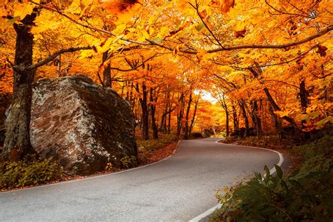 Best Things to Do in Vermont in the Fall