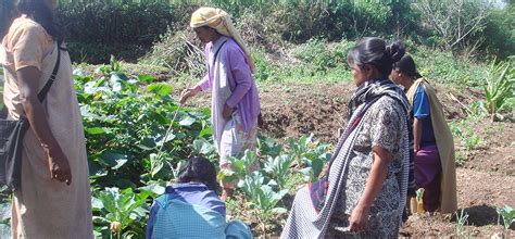 Nongstoin Social Service Society|NSSS, Meghalaya