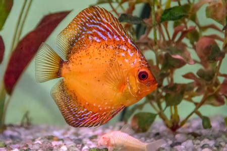 Radio Rwanda Listen Live - 100.7 MHz FM, Kigali, Rwanda | Online Radio Box