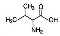 Which of the following aminoacids is basic in nature