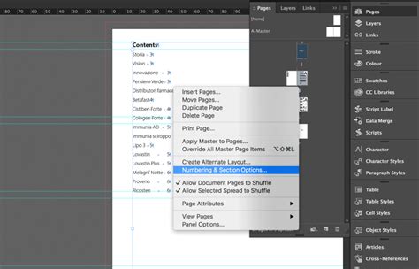 How to Make Table of Contents InDesign 的图像结果