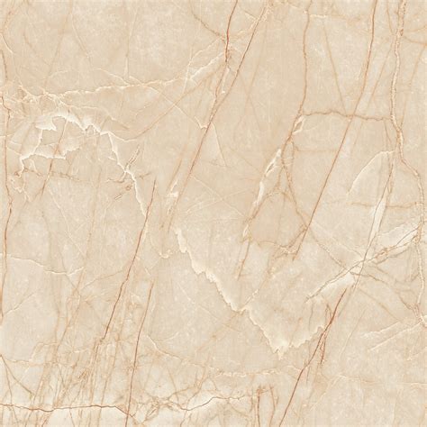 600MMX600MM POLISHED PORCELAIN FLOOR TILES 2004 | Porcelain Tiles,Floor ...