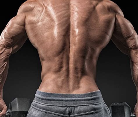 How to Exercise Lower Back Muscles 的图像结果