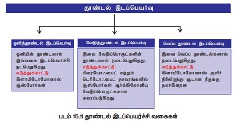 தாவர அசைவுகள் - உயிர் சார் அசைவுகள், இயல்சார் அசைவுகள் (அ) ஈரப்பசை ...