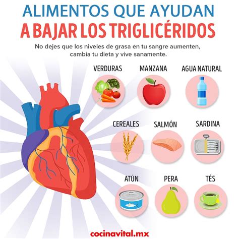 Organigramas Que Son Los Trigliceridos