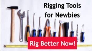 Image result for Rigging Randomizer