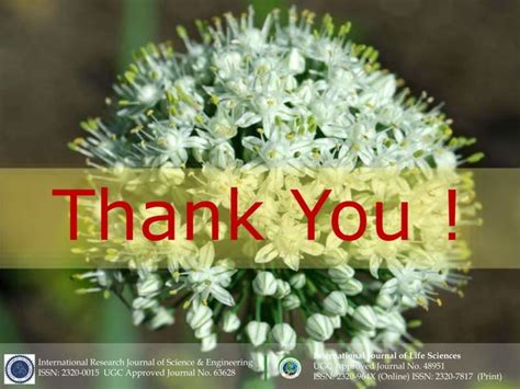 JavaScript API Cateogry 的图像结果