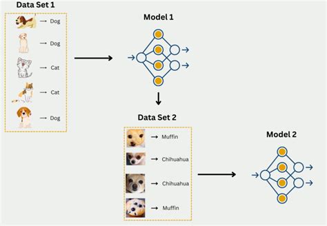 Image result for Machine Learning One Shot