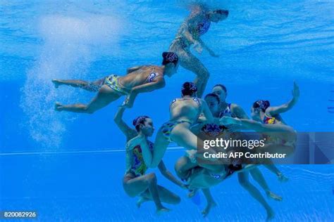 Swim Team Photo Shoot 的图像结果