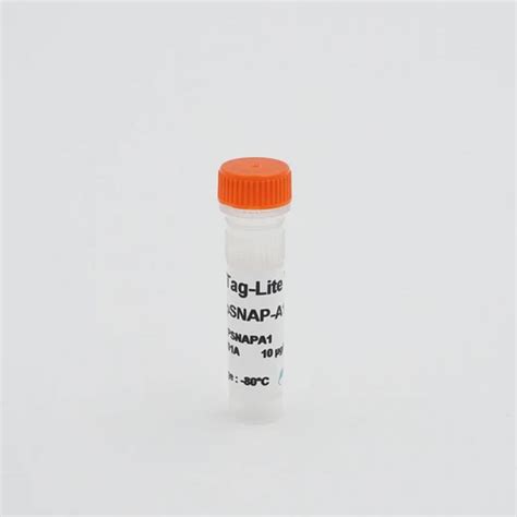 HTRF Tag-Lite pSNAP-Adenosine A1 Receptor Plasmid | Revvity