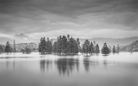 Image result for Colorisation