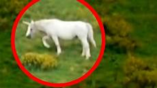 why don t we unicorns today this ballsy unicorns on best unicorn sightings why don t we unicorns today this ballsy unicorns on best unicorn sightings