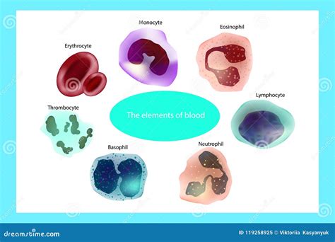 The elements of blood. stock vector. Illustration of microbiology - 119258925