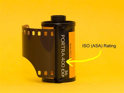 What Is Camera ISO 的图像结果