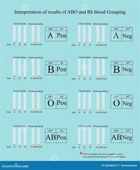 Abo Rh Blood Group Test